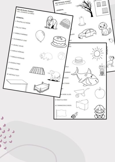 Mis on pildilt puudu? Joonista!