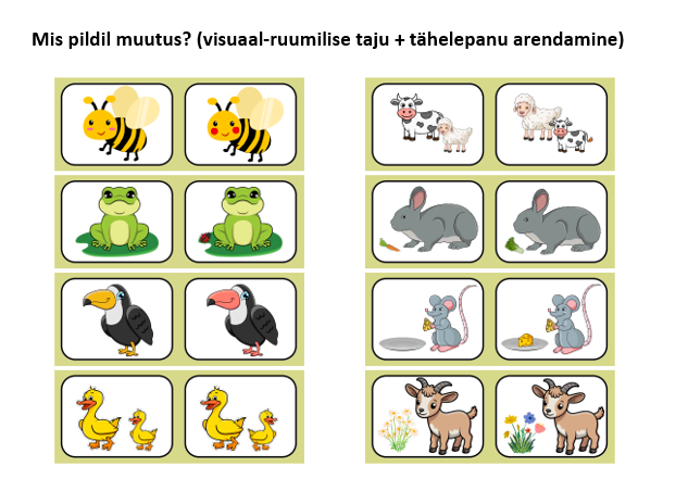 Mis pildil muutus? (visuaal-ruumiline taju + tähelepanu)