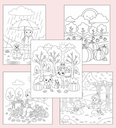 Värviraamat - Sügis