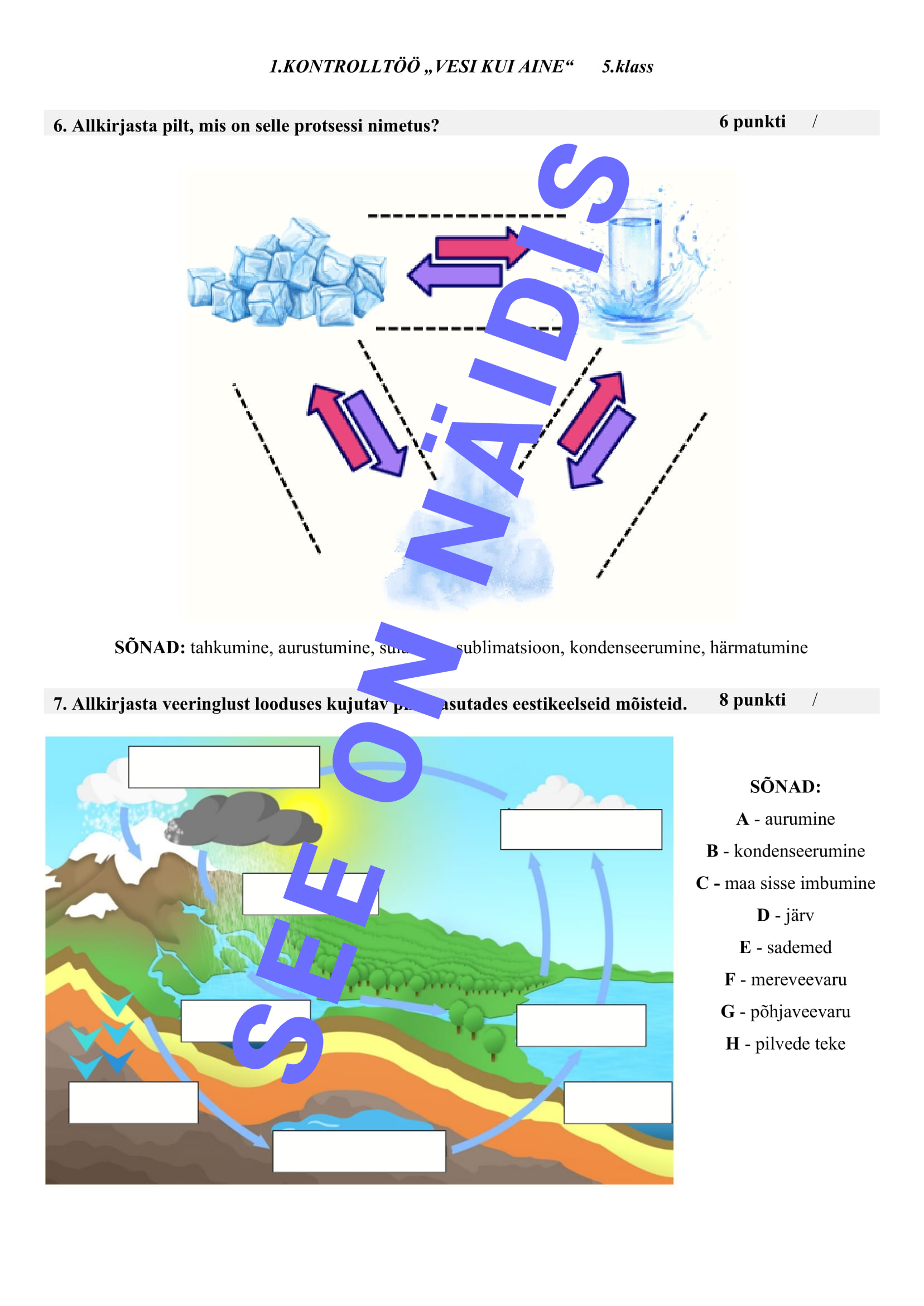 Kontrolltöö „Vesi kui aine“ – 5. klassile - Image 4