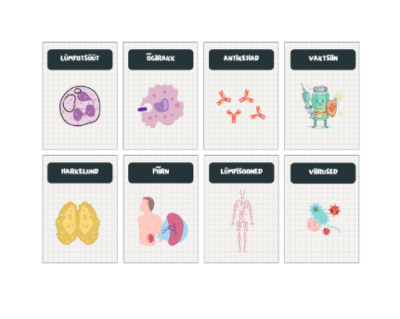 Immuunsüsteemi kaardid