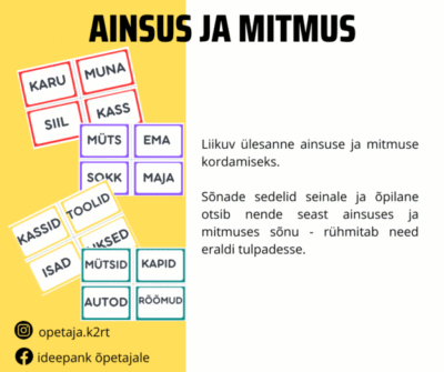 Ainsus ja mitmus