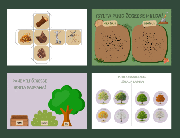 Puud, põõsad, viljad