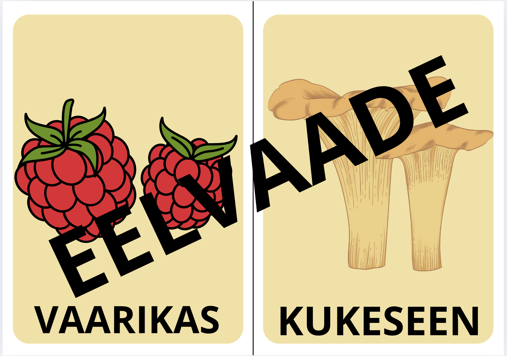 Puuviljad, juurviljad, köögiviljad - Image 2