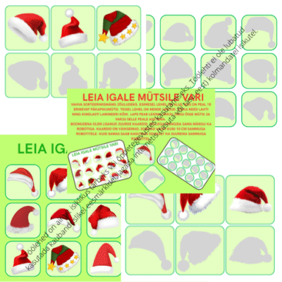 LEIA IGALE MÜTSILE VARI