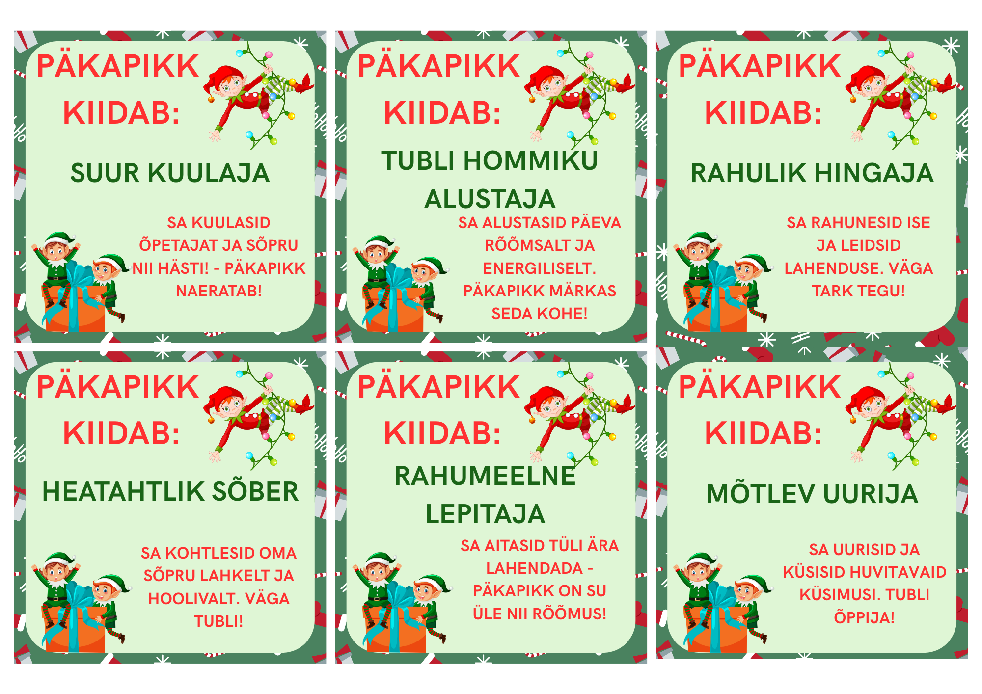 PÄKAPIKK KIIDAB - Image 6