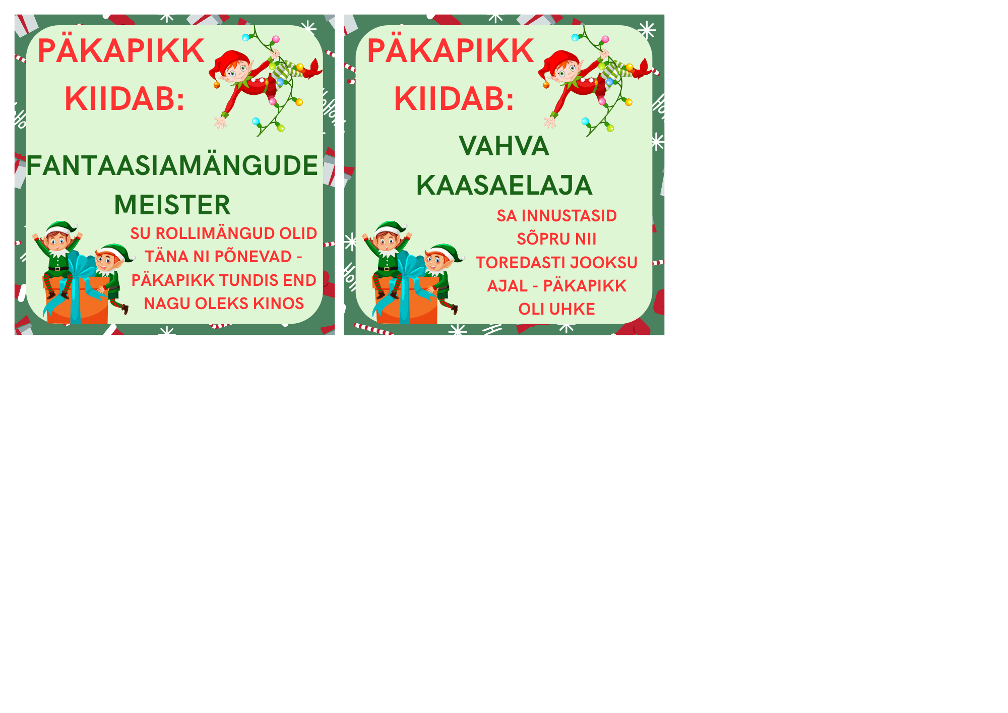 PÄKAPIKK KIIDAB - Image 10