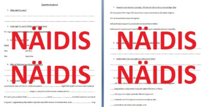 Funktsionaalne lugemine "Lepatriinude jõulud" (Koolibri õpik "Ilus emakeel")