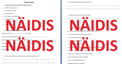 Funktsionaalne lugemine "Meie pere jõulud" (Koolibri õpik "Ilus emakeel")