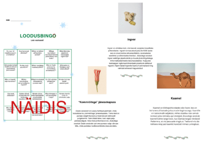 Loodusteemaline jõulubingo