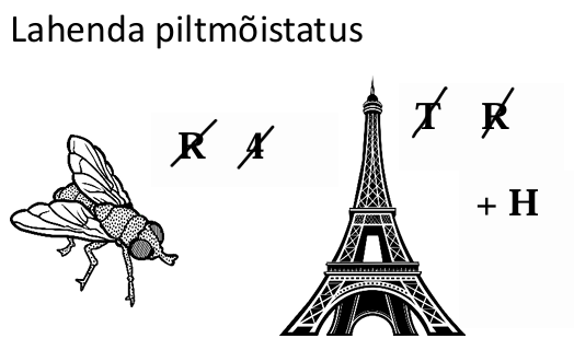 2026 algab hobuseaasta - piltmõistatus