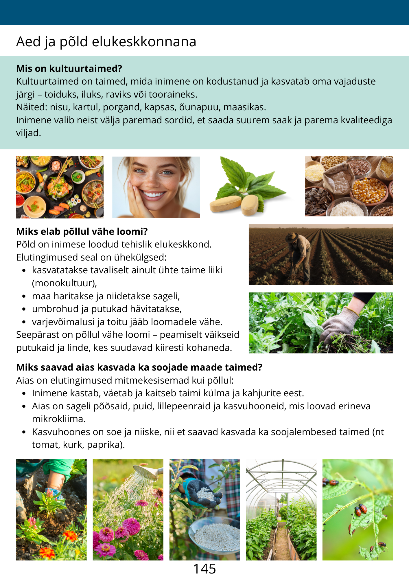 Diferentseeritud tööraamat 6.klassile XVI osa - Image 3