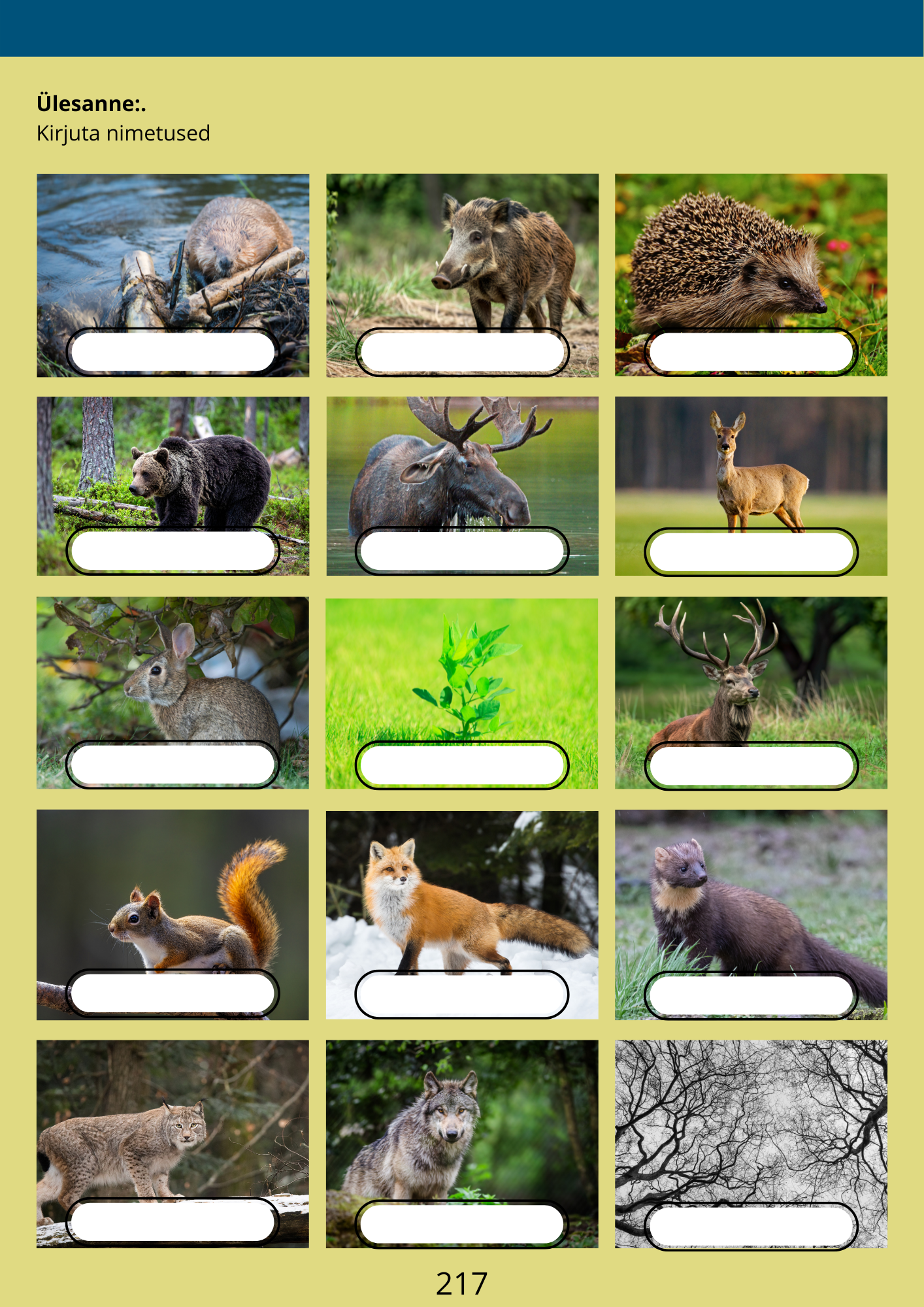 Diferentseeritud tööraamat 6.klassile XXV osa - Image 3