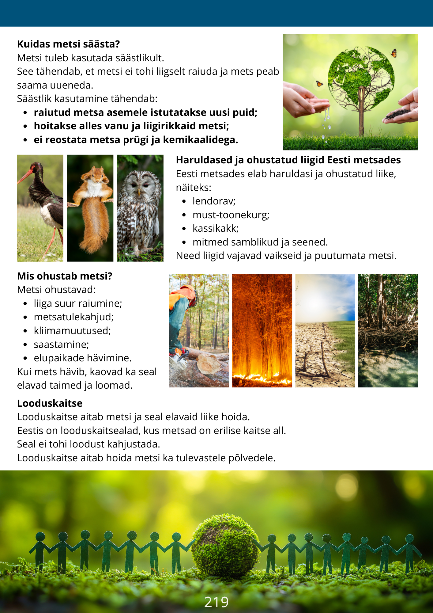 Diferentseeritud tööraamat 6.klassile XXV osa - Image 4