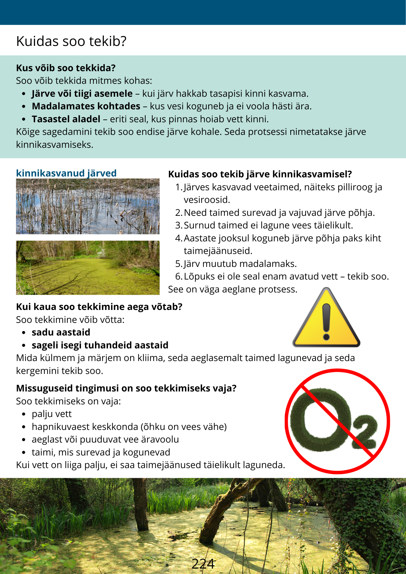 Diferentseeritud tööraamat 6.klassile XXVI osa - Image 3