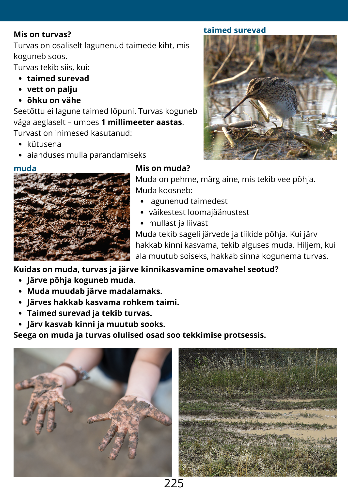 Diferentseeritud tööraamat 6.klassile XXVI osa - Image 4