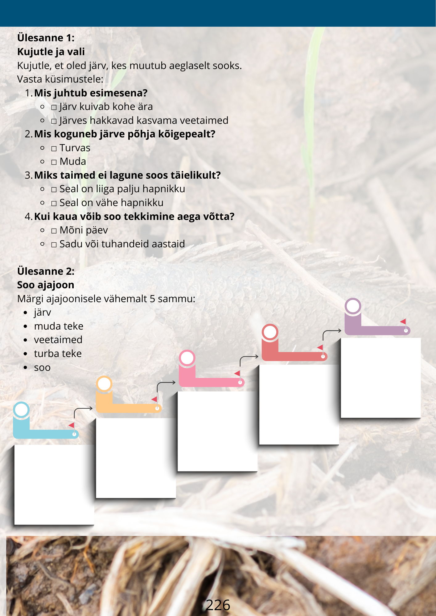 Diferentseeritud tööraamat 6.klassile XXVI osa - Image 5