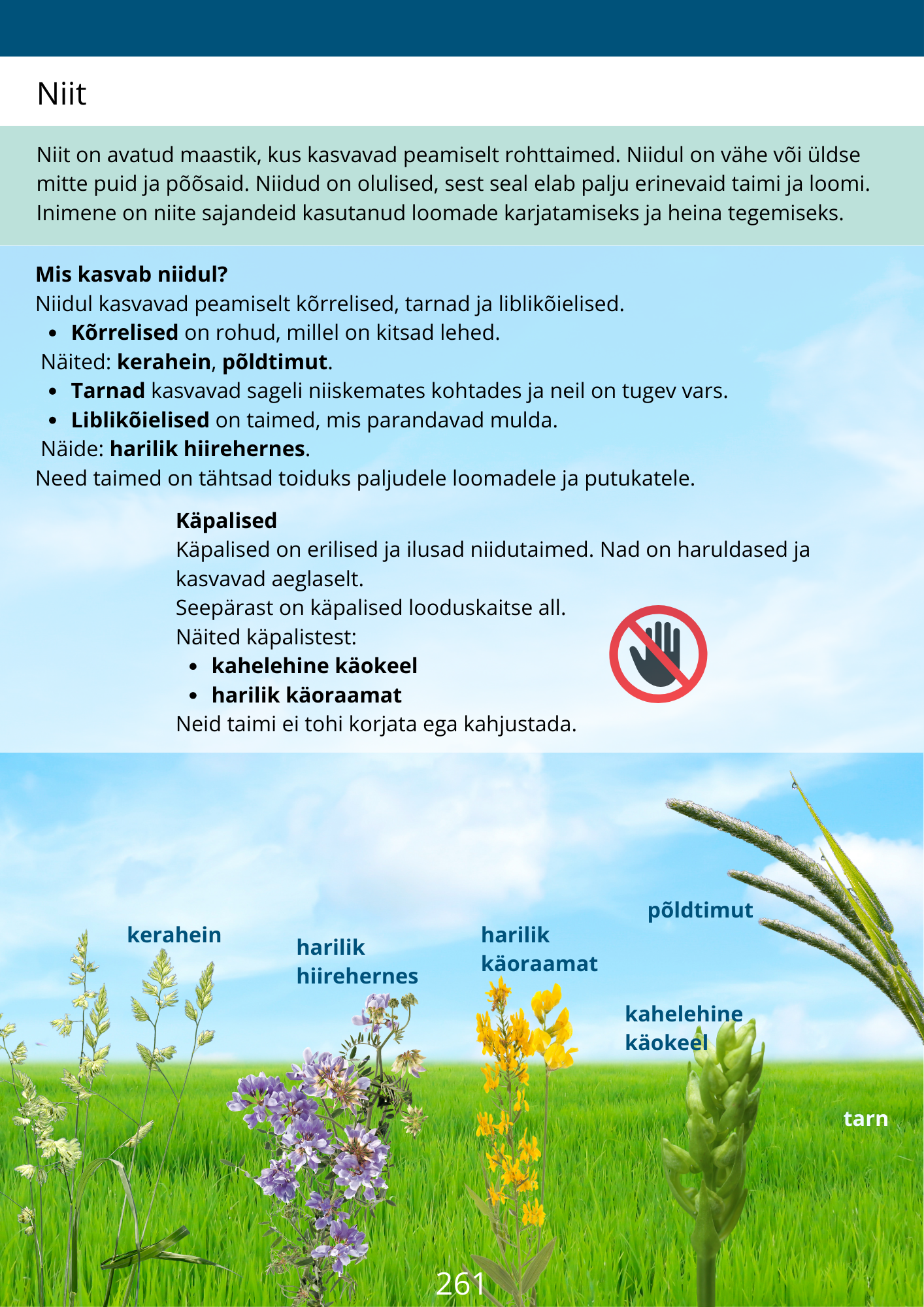 Diferentseeritud tööraamat 6.klassile XXXI osa - Image 4