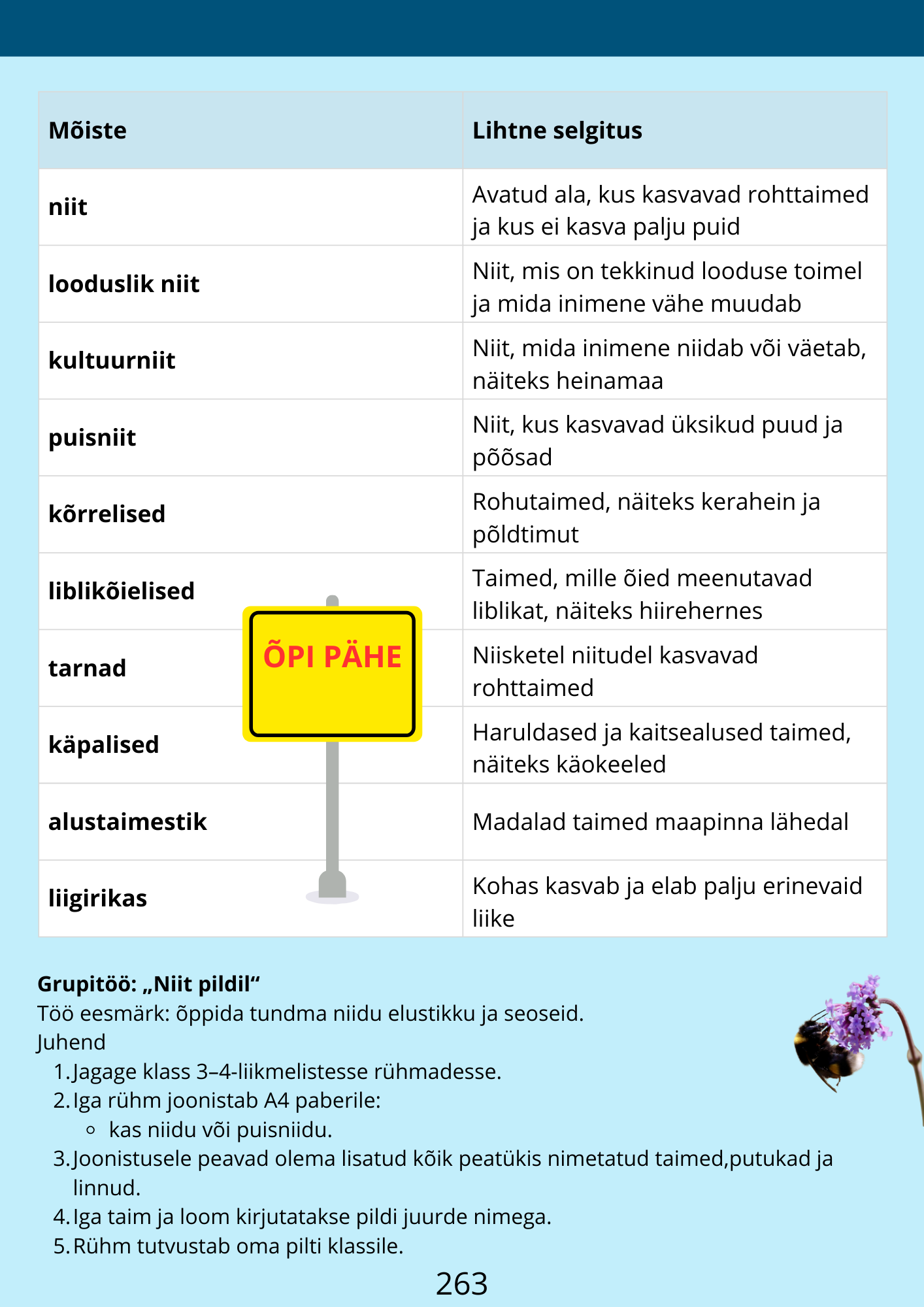 Diferentseeritud tööraamat 6.klassile XXXI osa - Image 5