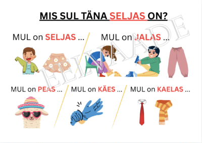 Mis sul täna seljas on?