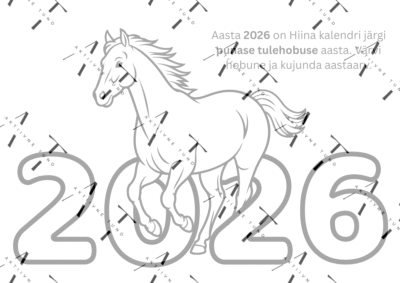 Punase tulehobuse aasta