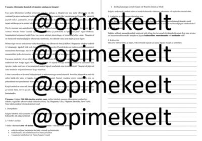 Uusaasta tähistamise kombed eri maades: ajalugu ja tänapäev (B2-C1)