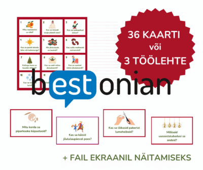 Lihtmineviku vestluskaardid. Mida sa pühade ajal tegid?