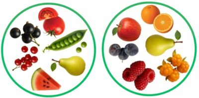 „Puuviljad, marjad ja köögiviljad“ Dobble