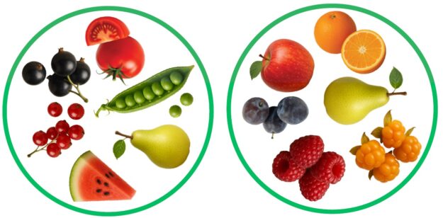 „Puuviljad, marjad ja köögiviljad“ Dobble