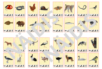 Kuidas keegi liigub?