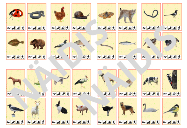 Kuidas keegi liigub?