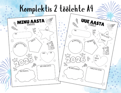 Minu aasta kokkuvõte - uue aasta eesmärgid