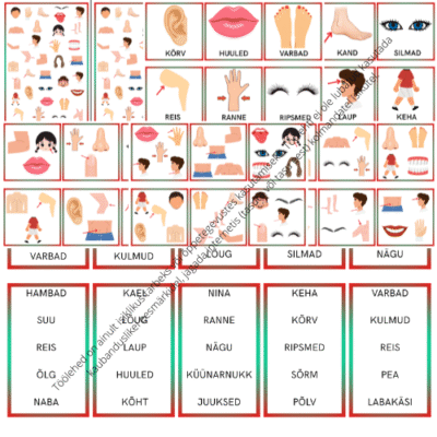 MÄNG - MINU KEHAOSAD