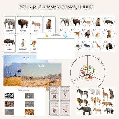 Põhja- ja lõunamaa loomad, linnud