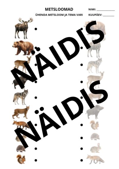 Metsloomade tööleht: ühenda metsloom ja tema vari.