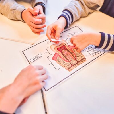 Üldõpetuslik komplekt: hambad