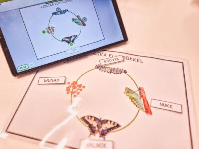 Liblika elutsükkel (tegelusmatt ja ketas)