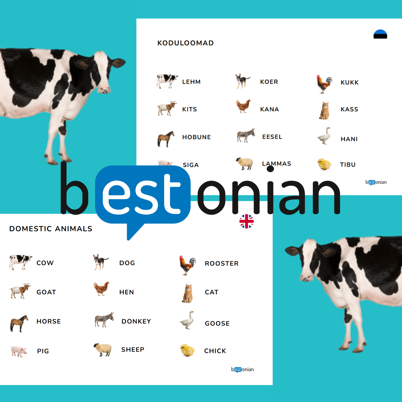 Koduloomade memoriin (eesti-inglise) - Image 2