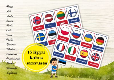 LIPUD. 15 erineva riigi lippu.