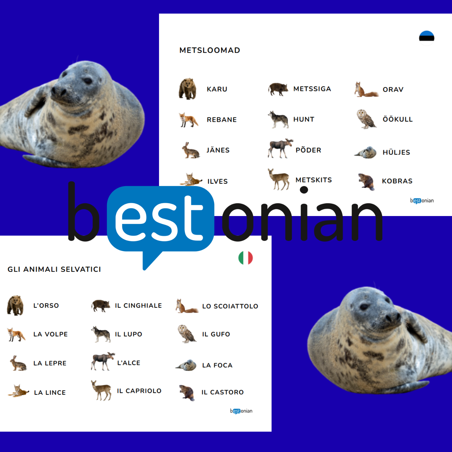 Metsloomade memoriin (eesti-itaalia) - Image 2