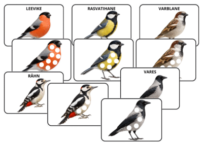 Linnud - õppekaardid ja plastiliini voolimisalused