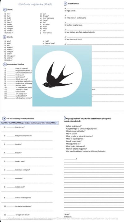 Küsisõnade harjutamine (A2)