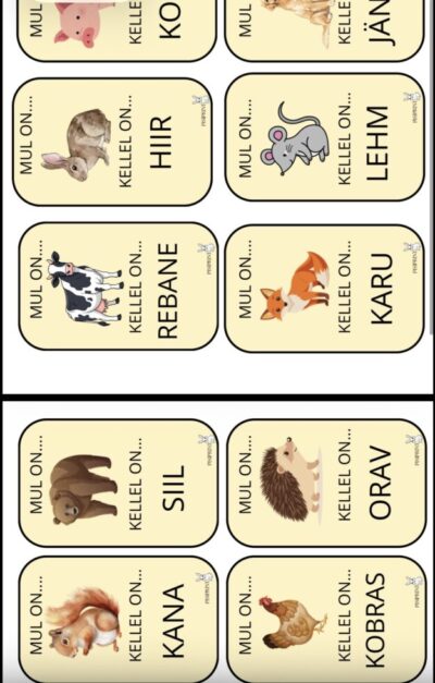 Mul on... Kellel on? (Sõna+pilt)