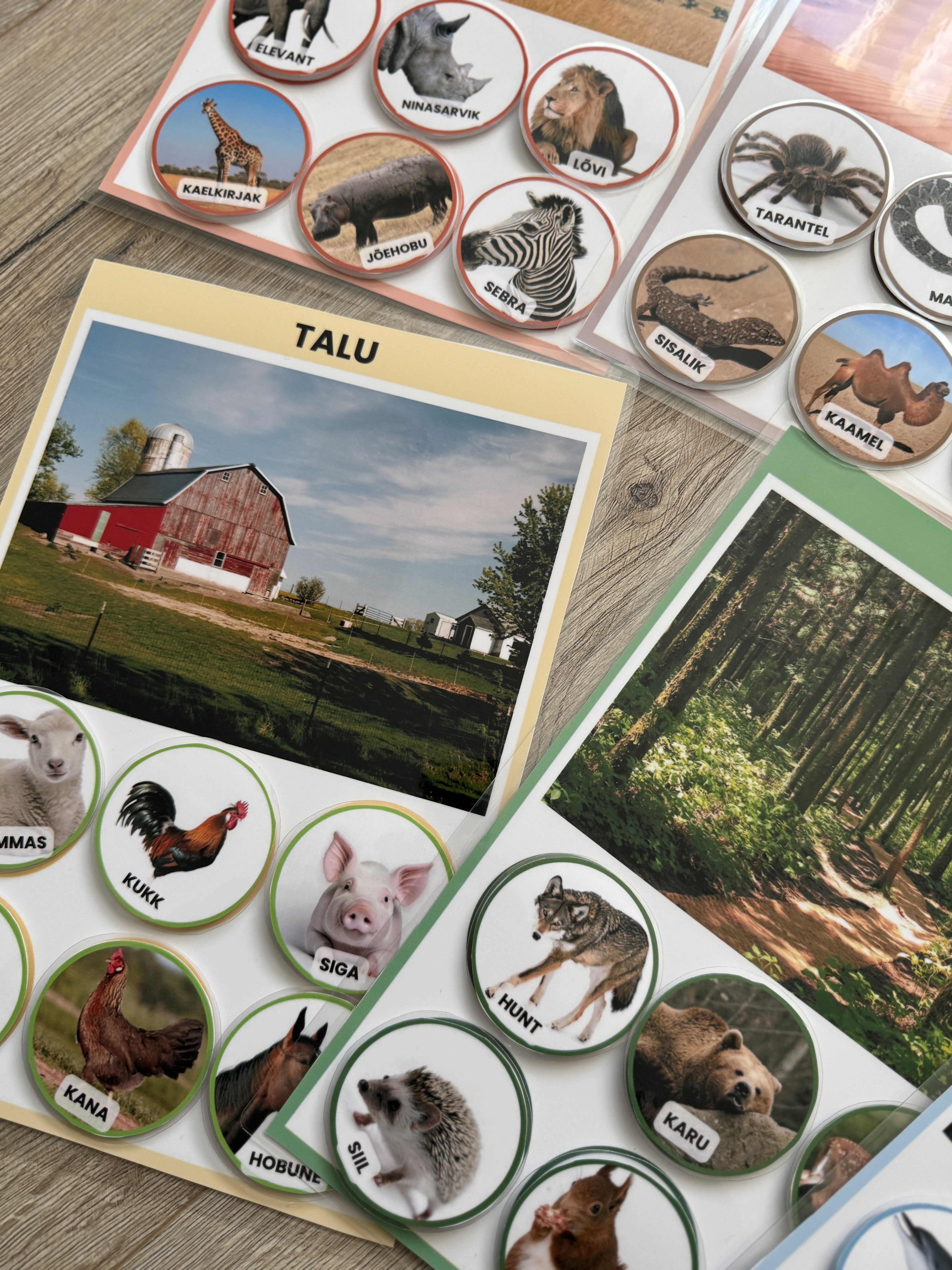 Sobitamis- ja liigitamismäng "Loomade elupaigad" - Image 2