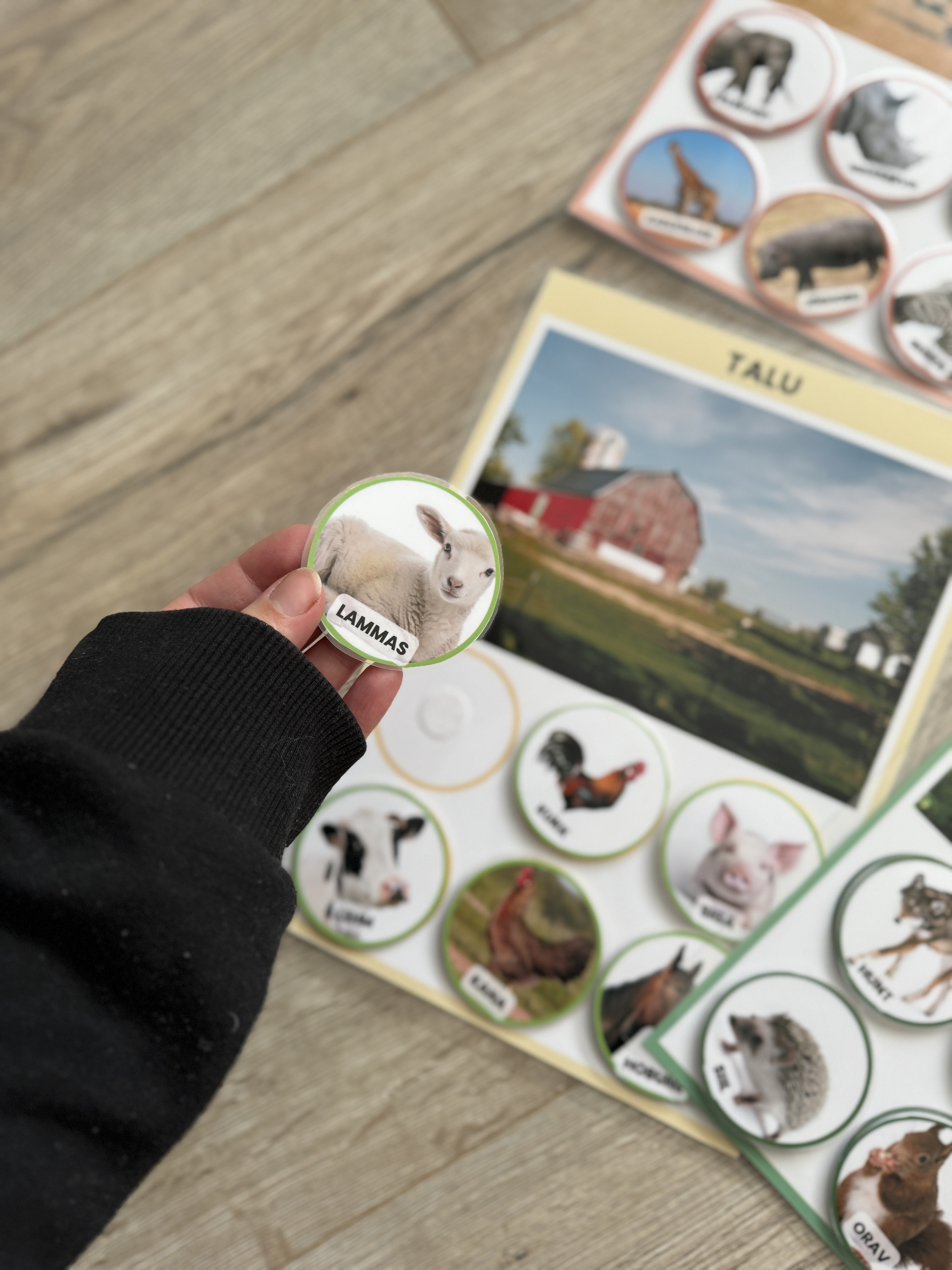 Sobitamis- ja liigitamismäng "Loomade elupaigad" - Image 3