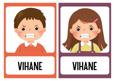 Emotsioonid / tunnete kaardid