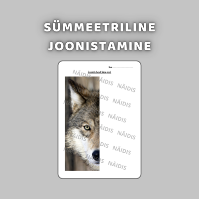 SÜMMEETRILINE JOONISTAMINE