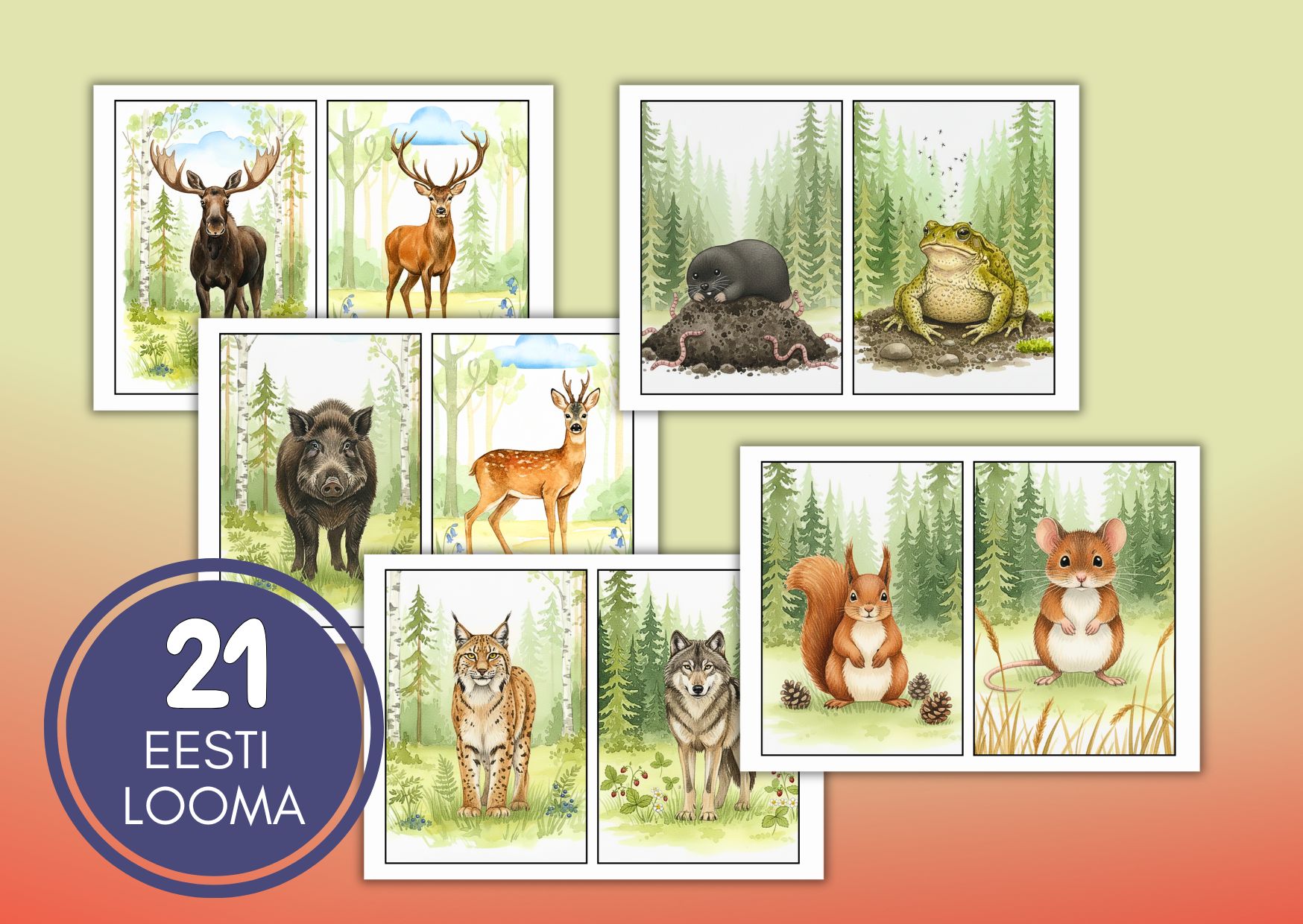 METSLOOMAD. A5 suuruses pildikaardid.