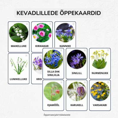 Kevadlillede õppekaardid