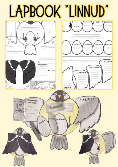 Lapbook "Linnud"